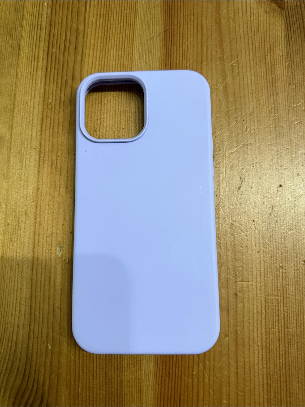 iPhone 13 Pro Max Case